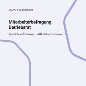 Mitarbeiterbefragung Betriebsrat Reifegrade von People Analytics