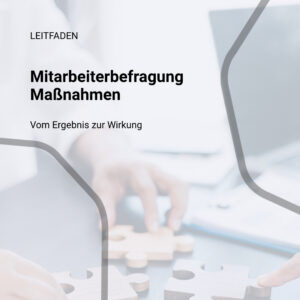 Mitarbeiterbefragung Massnahmen Vom Ergebnis zur Wirkung Reifegrade von People Analytics